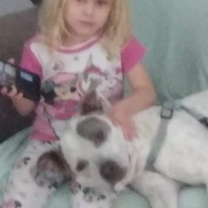 Meet your Posher, Trafio